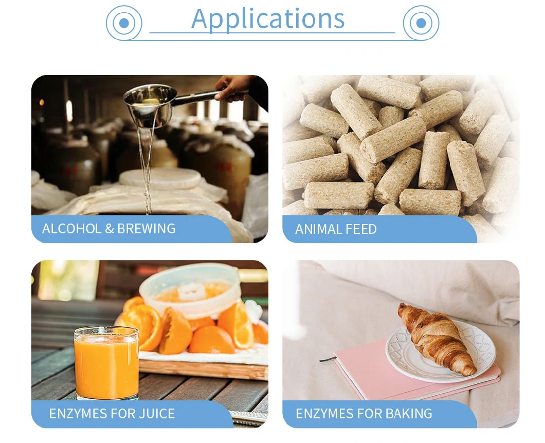China Cellulase Maximize Utilization of The Energy Contained in Feed Baa-0100s Cellulaseprotease Enzyme Cellulase Food Source Material