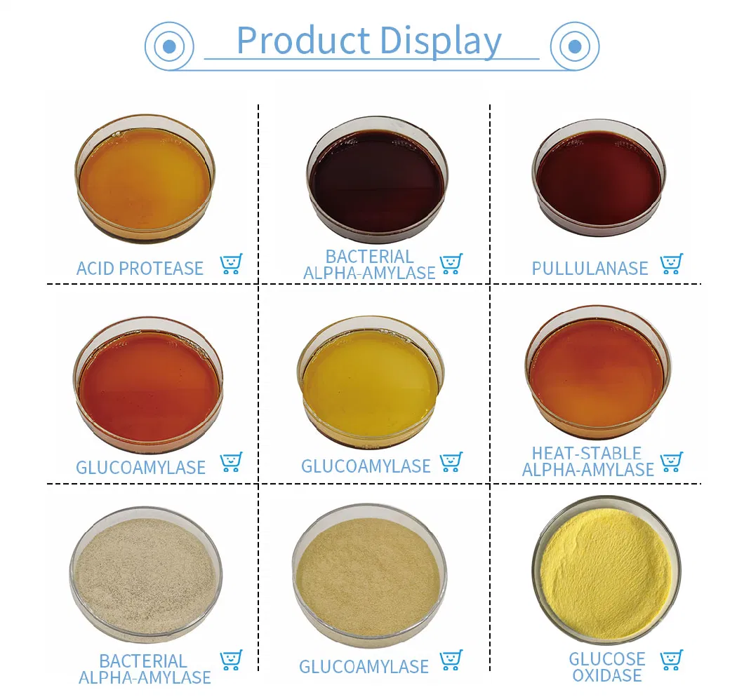 China Cellulase Maximize Utilization of The Energy Contained in Feed Baa-0100s Cellulaseprotease Enzyme Cellulase Food Source Material