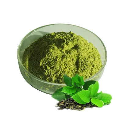 Extrait de thé naturel poudre de thé vert poudre de Matcha biologique