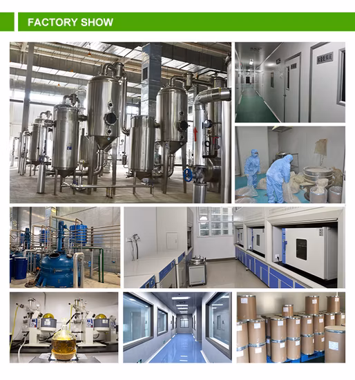 Comext – enzyme de poudre de maltase directe d'usine de qualité alimentaire, pour améliorer la digestion