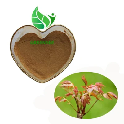 Extrait de Toona Sinensis 100% naturel, poudre d'extrait de Toon